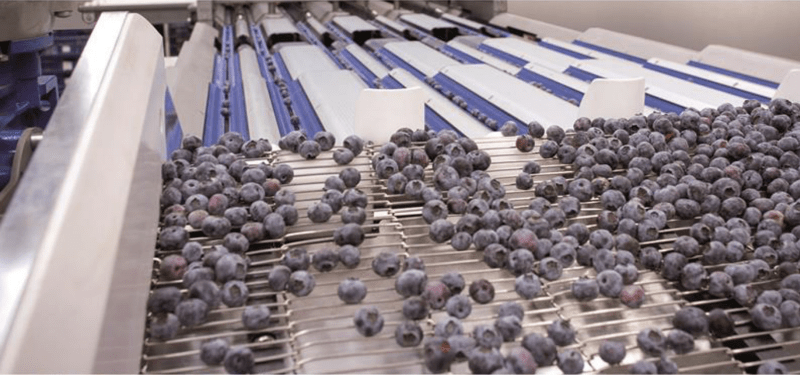 24060_modal|arandanos|blueberry-3357568_960_720|24111_modal